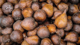 Sclangenhaut Früchte - der Geschmack erinnert an Birne, Litschi und Jackfrucht