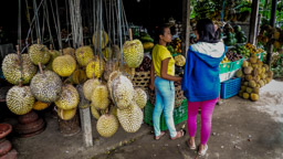 Durian Früchte  (Stinkfrucht)